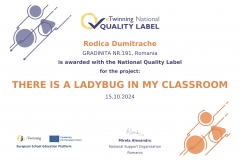 national_quality_label-project_nql_pdf-2957172-user_148771-37cf4e0d4a
